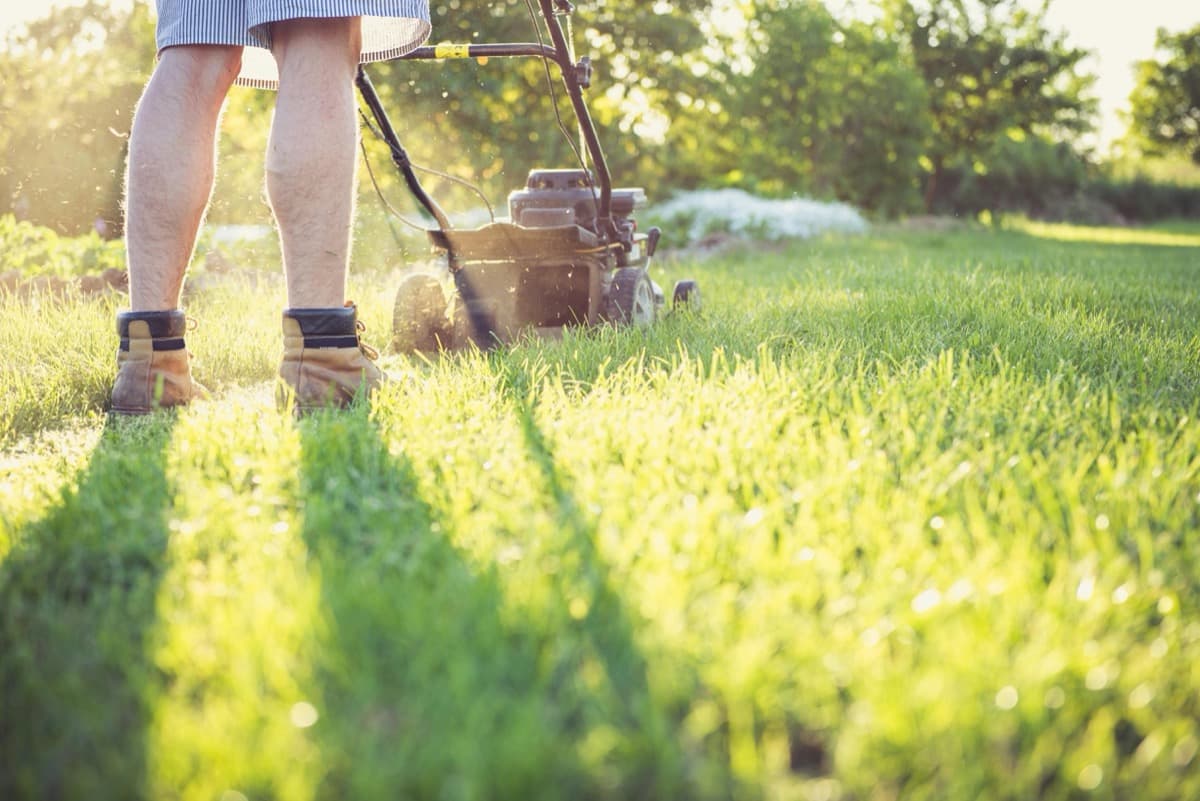 Landscaping